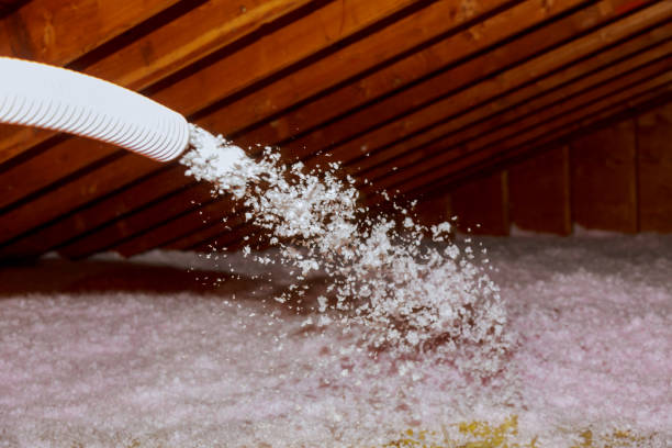 Best DIY Insulation Kits and Guidance in Myrtle Grove, NC