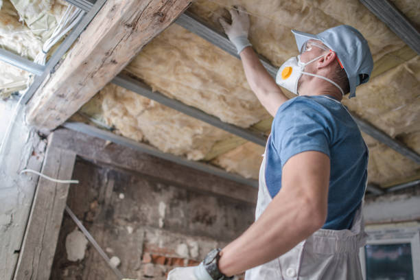 Best Cellulose Insulation in Myrtle Grove, NC