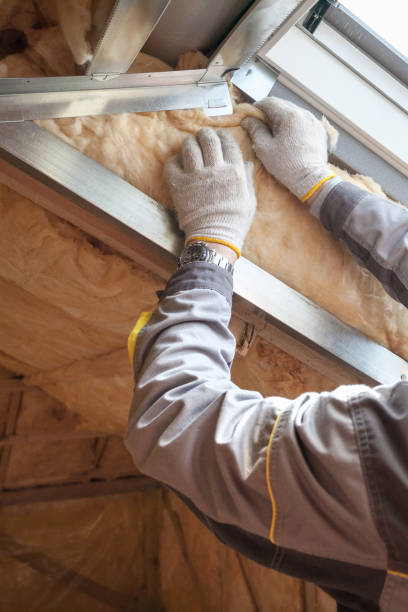 Best Spray Foam Insulation in Myrtle Grove, NC