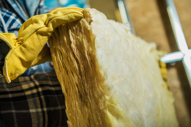 Professional Insulation Contractor in Myrtle Grove, NC