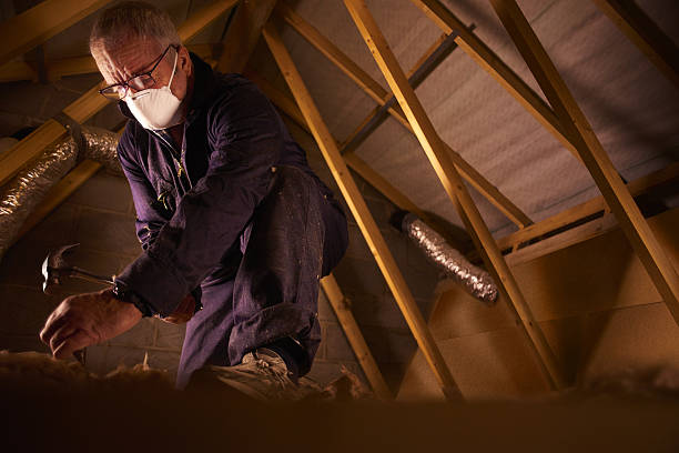 Best Geographic-Specific Insulation Services in Myrtle Grove, NC
