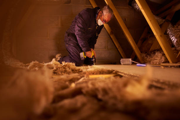 Best Insulation Maintenance and Repair in Myrtle Grove, NC
